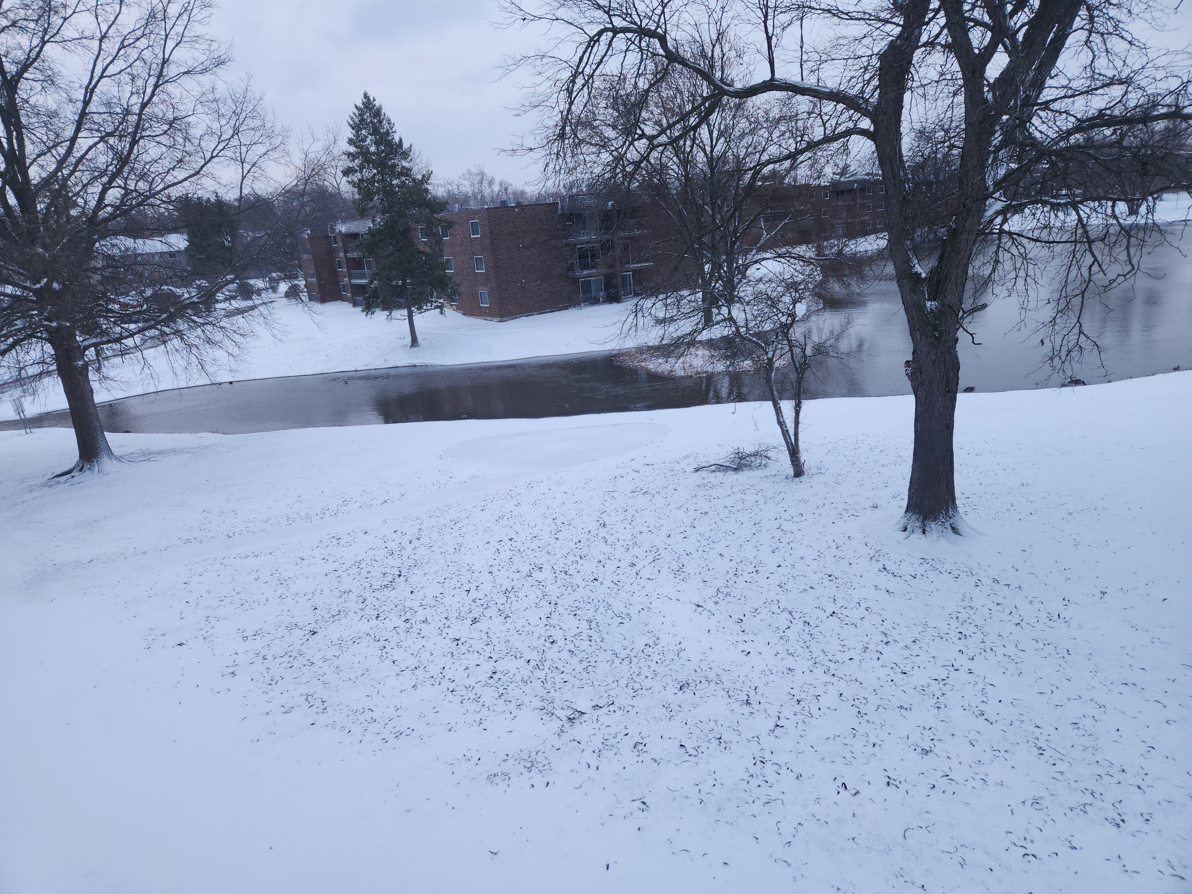 A snowy landscape with trees and a building in the background.